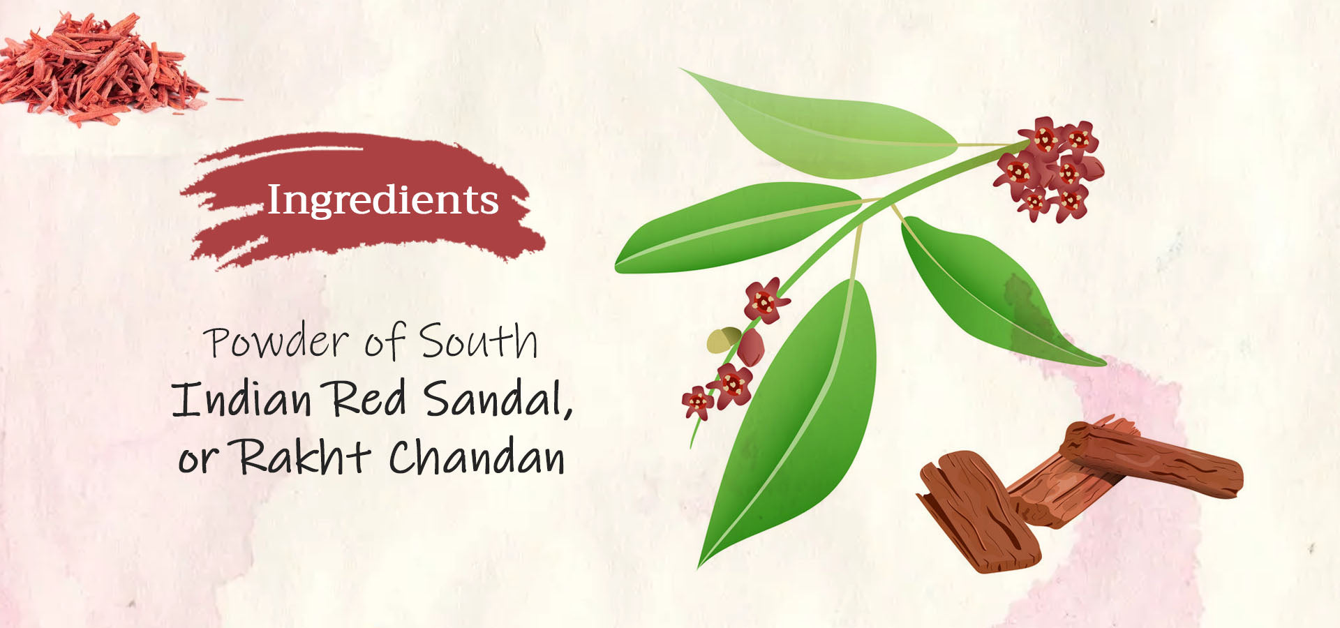 Sivappu Santhana Kattai/Red Sandalwood [Raw] – 100grams - Nanjil Herbs